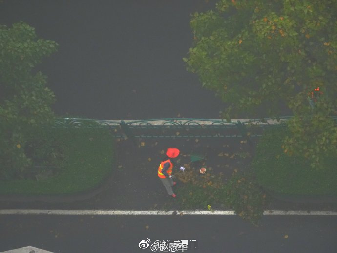 你愿轉(zhuǎn)發(fā)嗎？向這些“美麗花朵” 的環(huán)衛(wèi)工人 ，致敬勞動(dòng)者 [心]