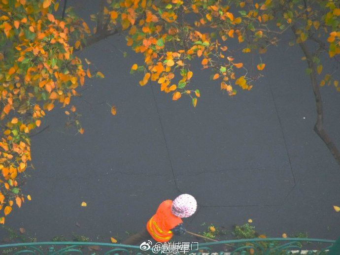 你愿轉(zhuǎn)發(fā)嗎？向這些“美麗花朵” 的環(huán)衛(wèi)工人 ，致敬勞動(dòng)者 [心]