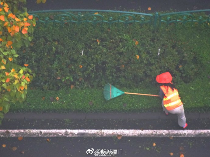 你愿轉(zhuǎn)發(fā)嗎？向這些“美麗花朵” 的環(huán)衛(wèi)工人 ，致敬勞動(dòng)者 [心]