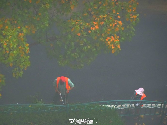 你愿轉(zhuǎn)發(fā)嗎？向這些“美麗花朵” 的環(huán)衛(wèi)工人 ，致敬勞動(dòng)者 [心]