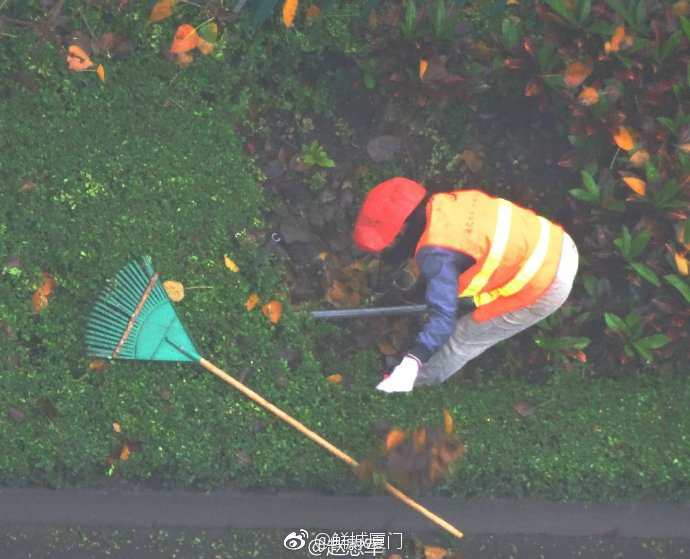 你愿轉(zhuǎn)發(fā)嗎？向這些“美麗花朵” 的環(huán)衛(wèi)工人 ，致敬勞動(dòng)者 [心]