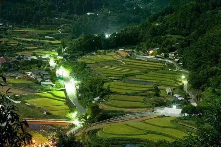 地球的故事 | 日本神奇小鎮15年零垃圾 老人靠撿樹葉就能致富
