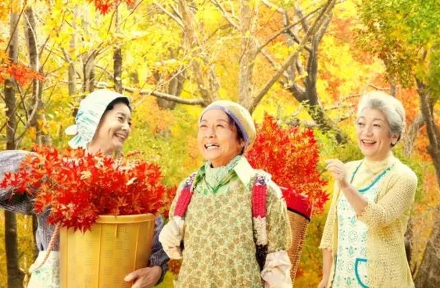 地球的故事 | 日本神奇小鎮15年零垃圾 老人靠撿樹葉就能致富