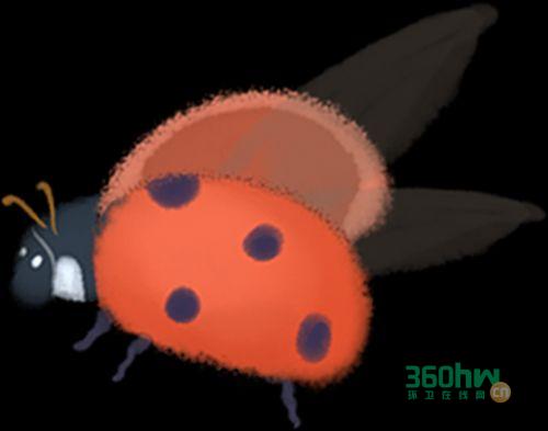 3ed76731-aa95-4597-9784-f1e18678dd7e.png