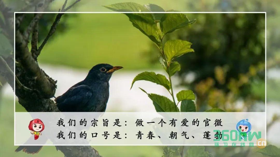 e25b4a0d-a875-4dd8-a538-76eae45644ae.jpeg