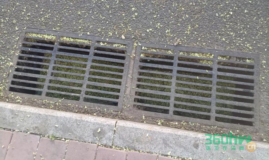 2e35e50e-9c0a-4038-b623-76fd26e013ed.jpeg
