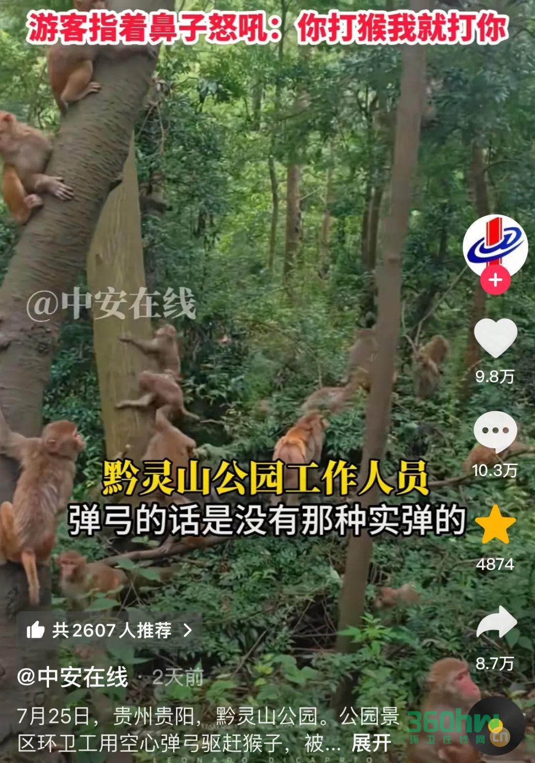 360c2e00-d86e-4764-ae33-36f57955a7c1.jpeg